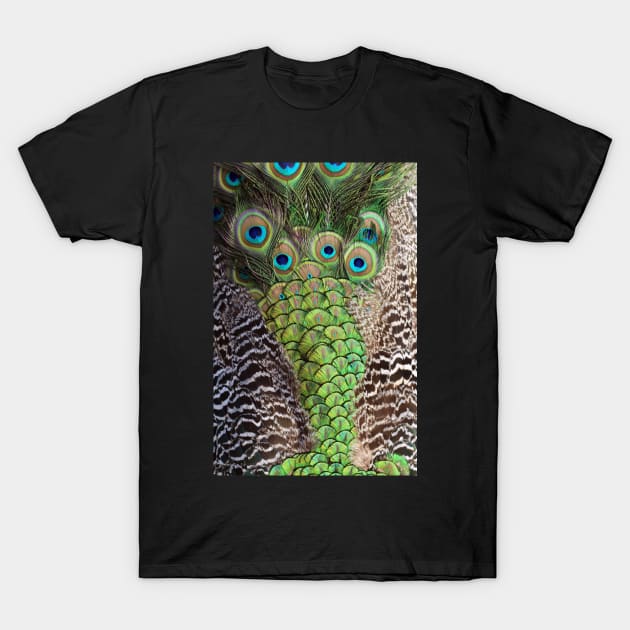 Peacock's Tail Feather T-Shirt by mooonthemoon